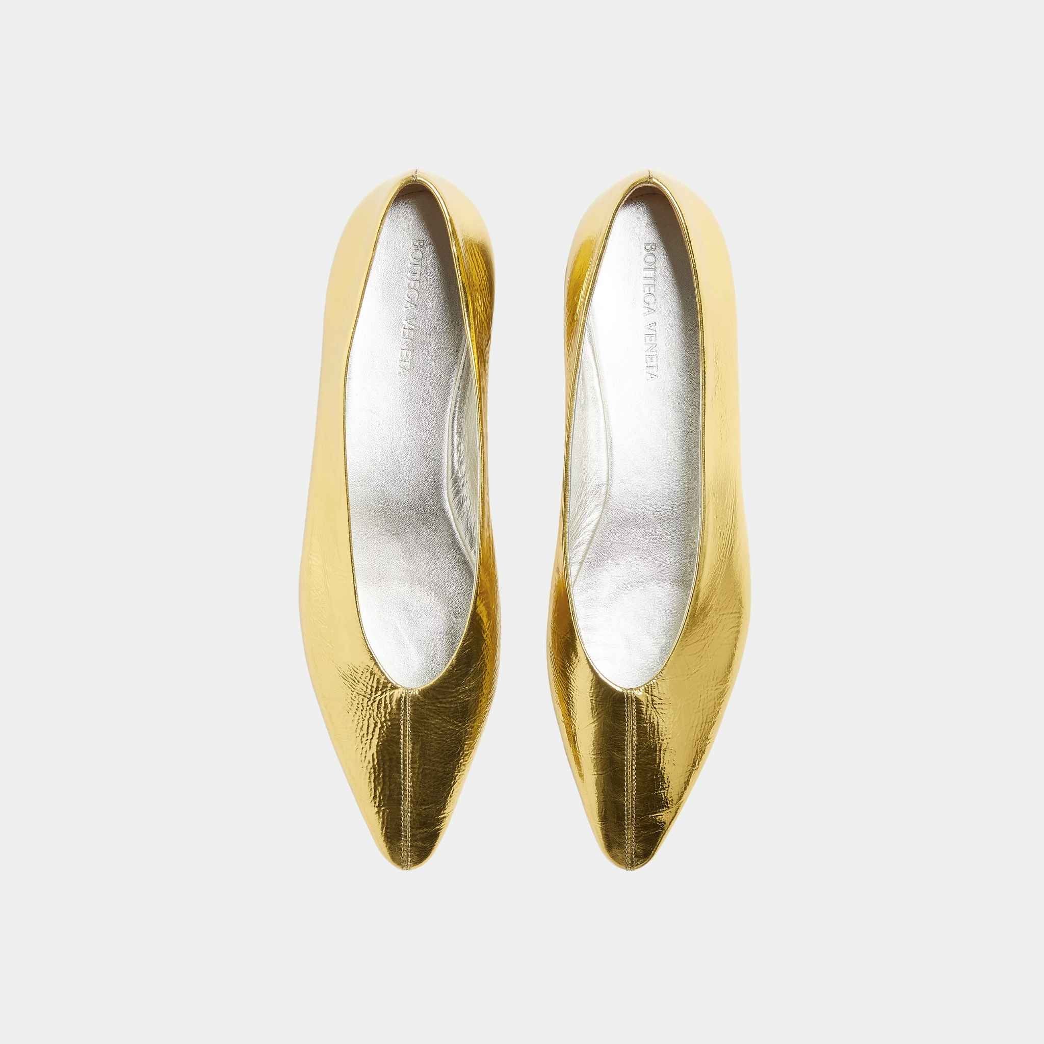 Sofia Ballerina Supple Construction in Reflective Goatskin - Image 2