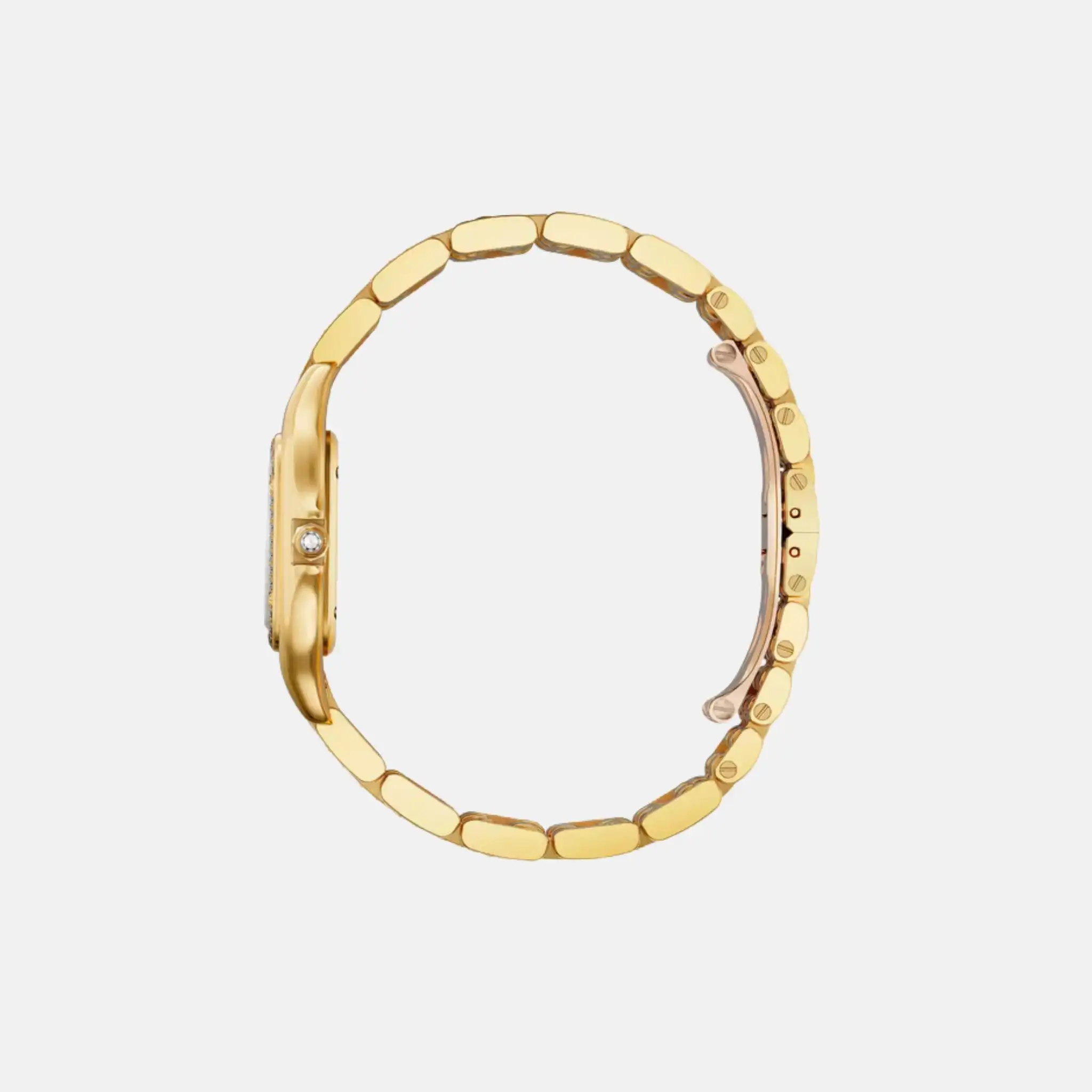 Panthere Medium Model Yellow Gold Diamond Set WJPN0060 - Image 2